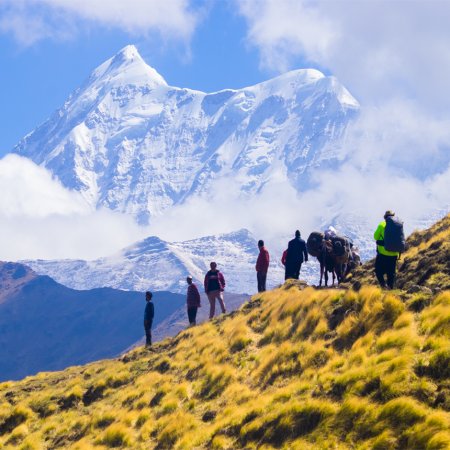 Ali Bedni Bugyal Trek
