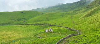 Ali Bedni Bugyal Trek- Trekking Compass